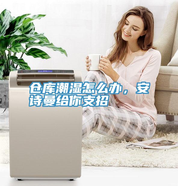 倉庫潮濕怎么辦，安詩曼給你支招