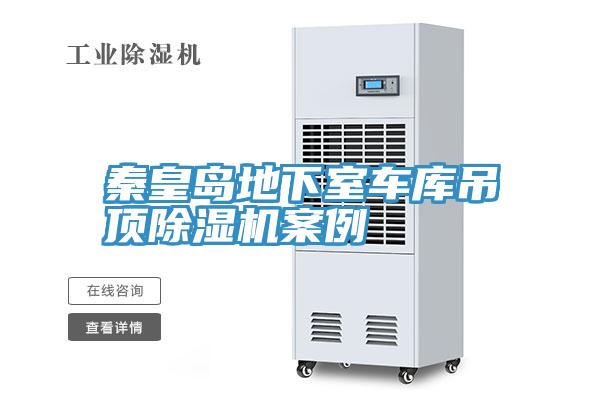 秦皇島地下室車(chē)庫(kù)吊頂除濕機(jī)案例