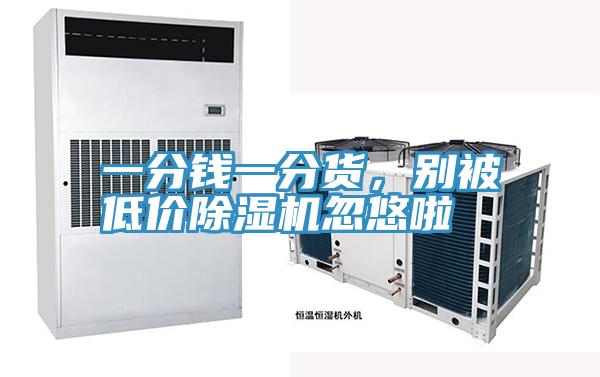 一分錢一分貨，別被低價除濕機忽悠啦