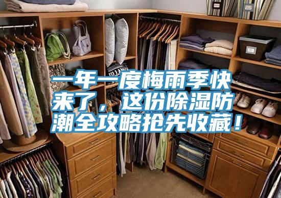 一年一度梅雨季快來了，這份除濕防潮全攻略搶先收藏！