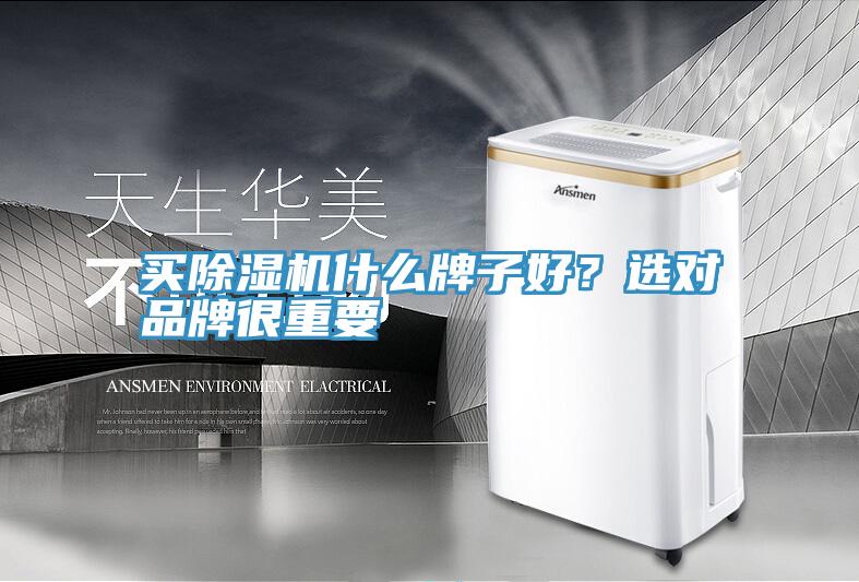 買除濕機什么牌子好？選對品牌很重要