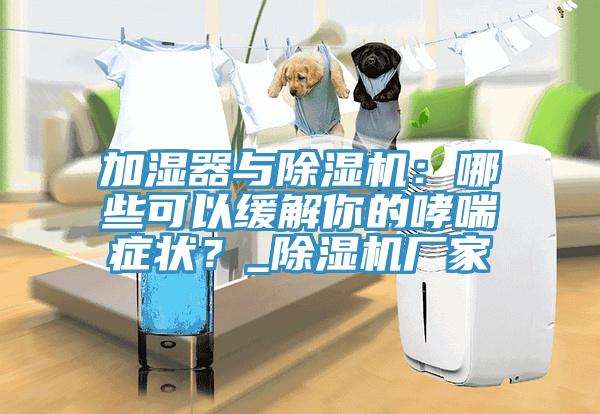 加濕器與除濕機(jī)：哪些可以緩解你的哮喘癥狀？_除濕機(jī)廠家