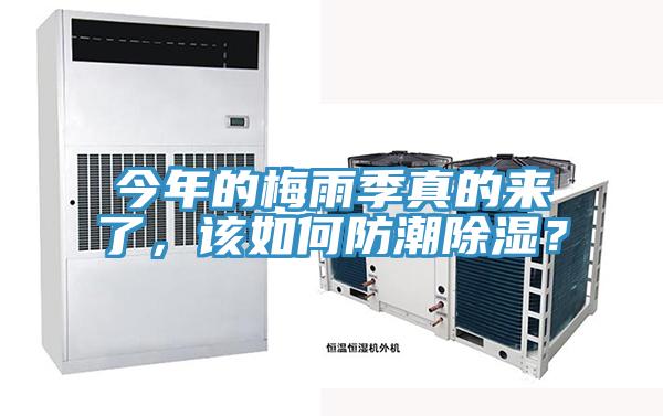 今年的梅雨季真的來了，該如何防潮除濕？