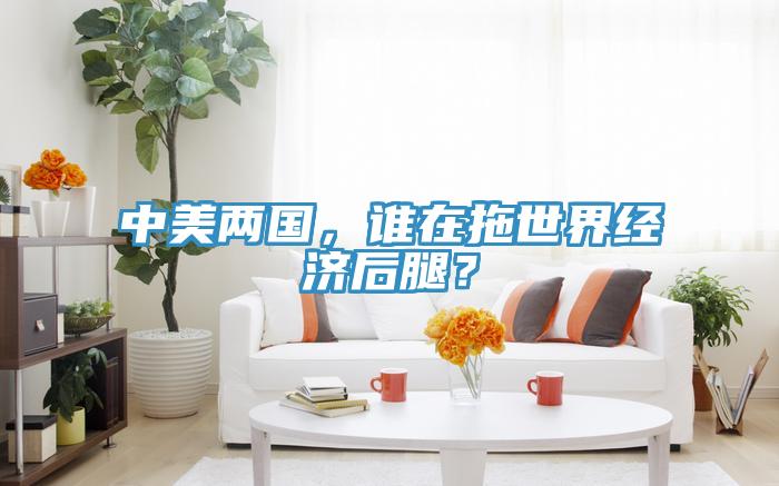 中美兩國，誰在拖世界經濟后腿？