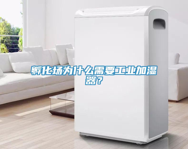 孵化場為什么需要工業加濕器？