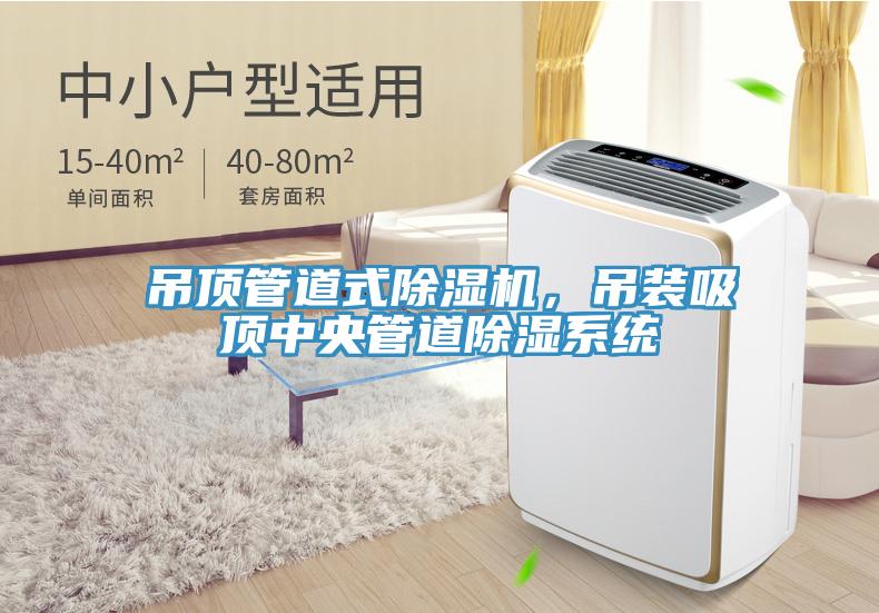 吊頂管道式除濕機(jī)，吊裝吸頂中央管道除濕系統(tǒng)
