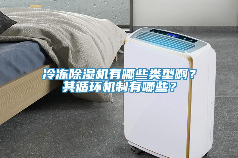 冷凍除濕機有哪些類型??？其循環(huán)機制有哪些？