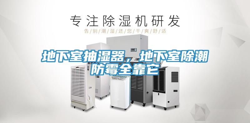 地下室抽濕器，地下室除潮防霉全靠它