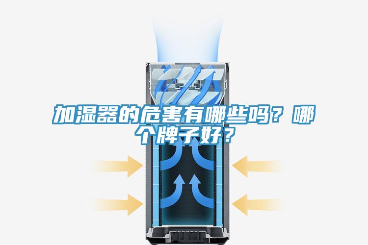加濕器的危害有哪些嗎？哪個牌子好？