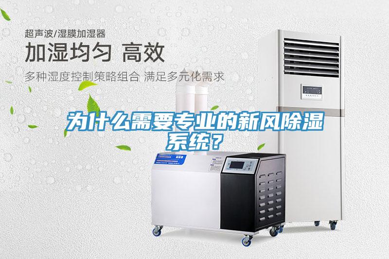 為什么需要專業的新風除濕系統？