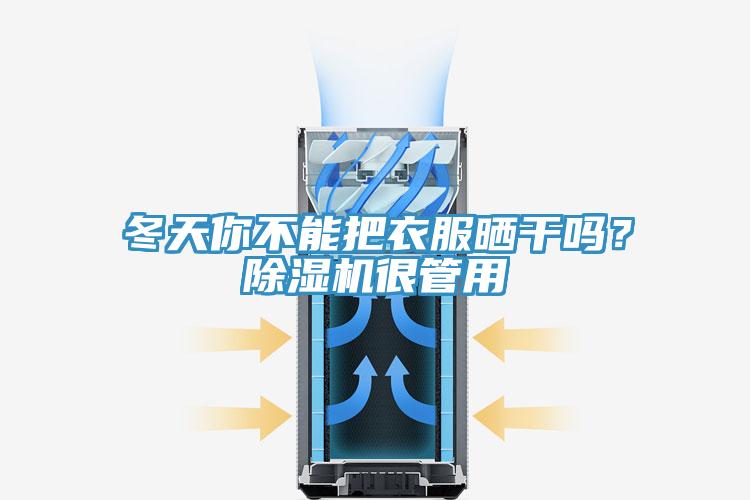冬天你不能把衣服曬干嗎？除濕機很管用