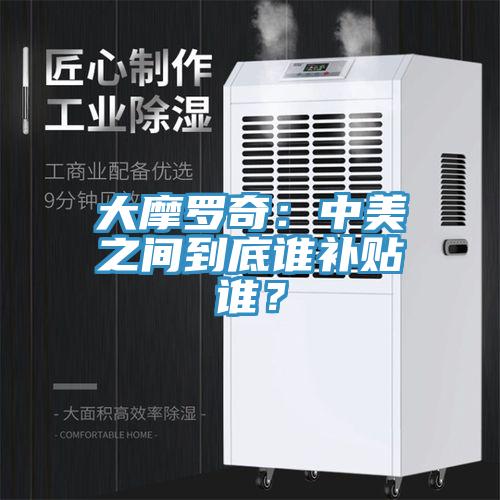 大摩羅奇：中美之間到底誰補貼誰？