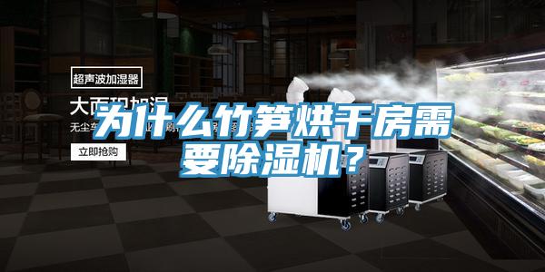 為什么竹筍烘干房需要除濕機？