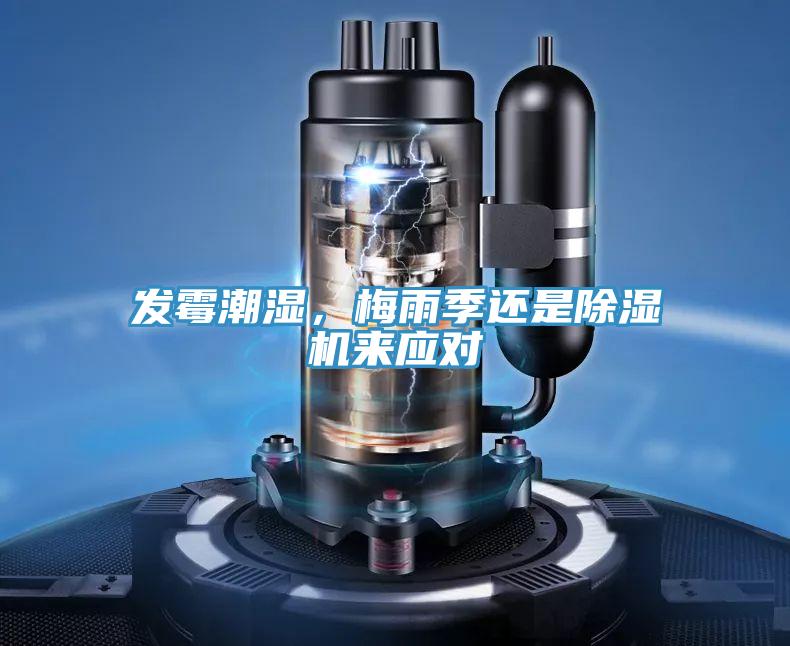 發霉潮濕，梅雨季還是除濕機來應對