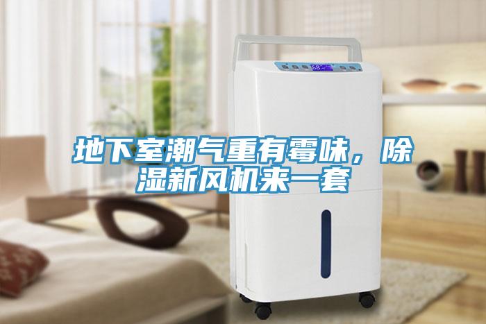 地下室潮氣重有霉味，除濕新風機來一套