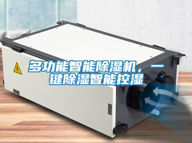 多功能智能除濕機，一鍵除濕智能控濕