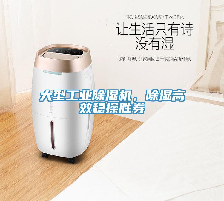 大型工業除濕機，除濕高效穩操勝券