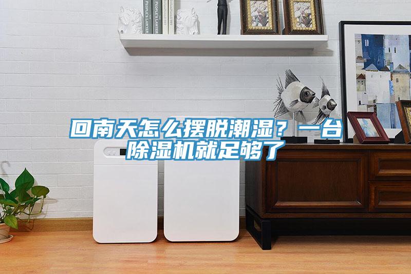 回南天怎么擺脫潮濕？一臺除濕機就足夠了