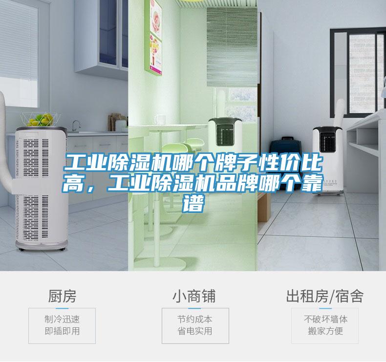 工業(yè)除濕機(jī)哪個牌子性價比高，工業(yè)除濕機(jī)品牌哪個靠譜