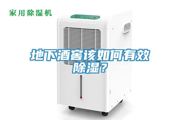 地下酒窖該如何有效除濕？