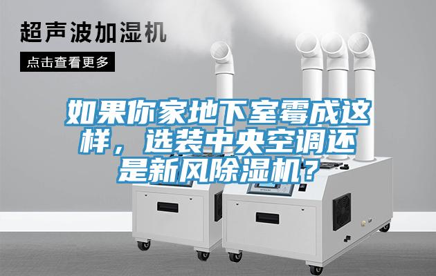 如果你家地下室霉成這樣，選裝中央空調(diào)還是新風(fēng)除濕機？