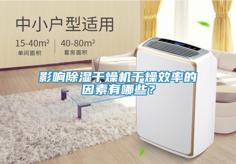 影響除濕干燥機干燥效率的因素有哪些？