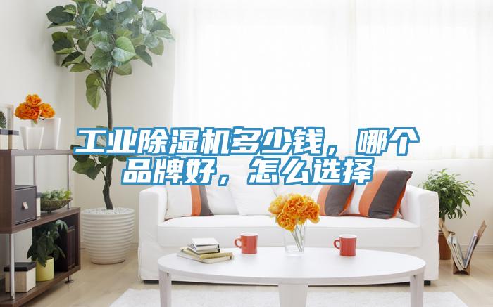 工業(yè)除濕機(jī)多少錢，哪個(gè)品牌好，怎么選擇