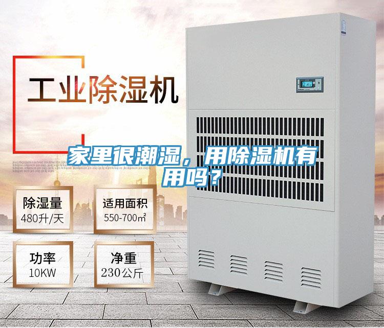 家里很潮濕，用除濕機有用嗎？
