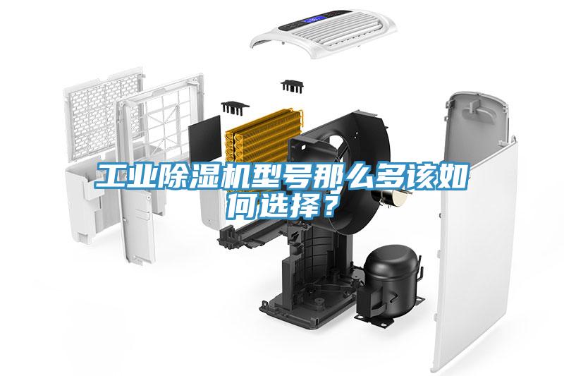 工業(yè)除濕機(jī)型號那么多該如何選擇？