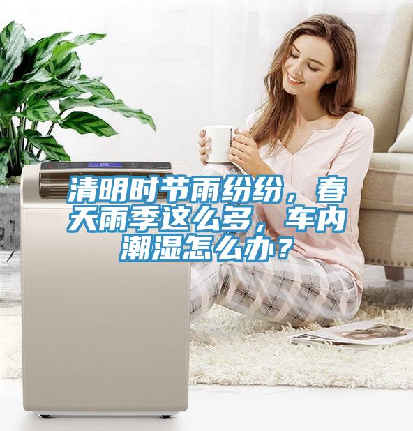 清明時(shí)節(jié)雨紛紛，春天雨季這么多，車內(nèi)潮濕怎么辦？