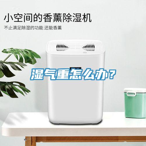 濕氣重怎么辦？
