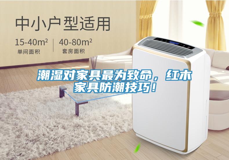潮濕對家具最為致命，紅木家具防潮技巧！