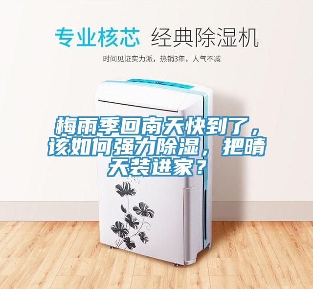 梅雨季回南天快到了，該如何強力除濕，把晴天裝進家？