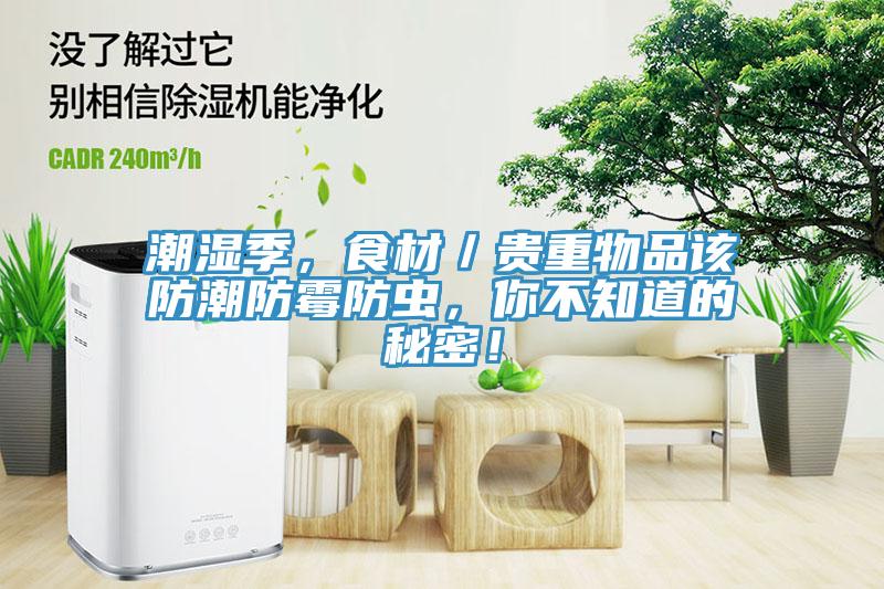 潮濕季，食材／貴重物品該防潮防霉防蟲，你不知道的秘密！