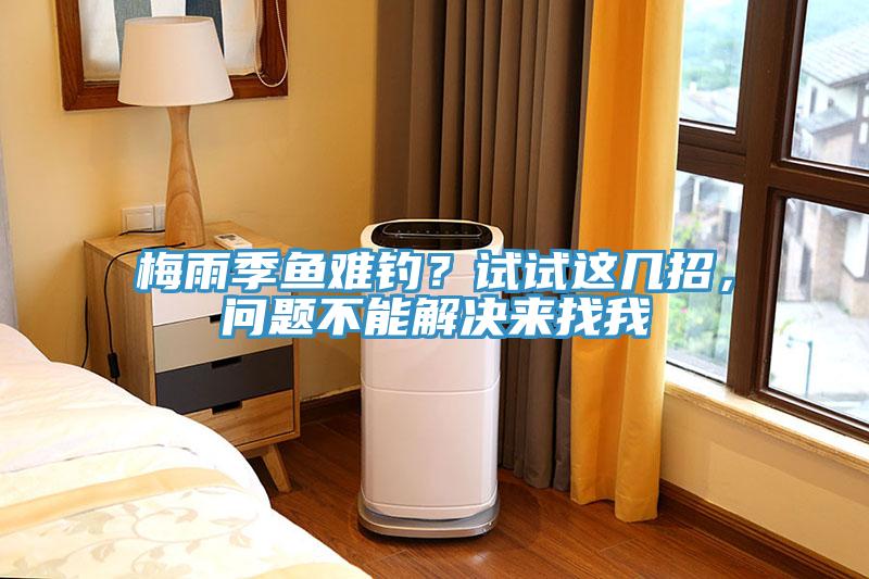 梅雨季魚難釣？試試這幾招，問(wèn)題不能解決來(lái)找我