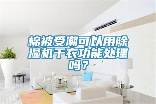 棉被受潮可以用除濕機干衣功能處理嗎？