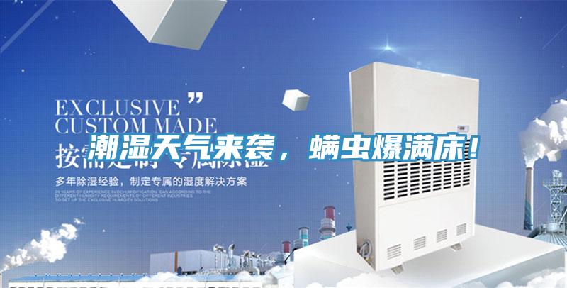 潮濕天氣來襲，螨蟲爆滿床！