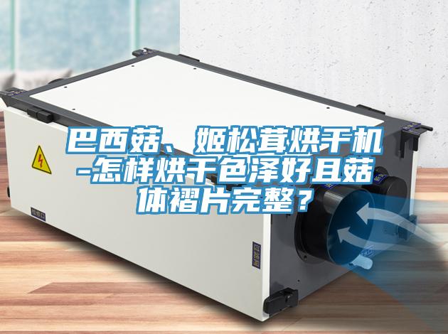 巴西菇、姬松茸烘干機(jī)-怎樣烘干色澤好且菇體褶片完整？