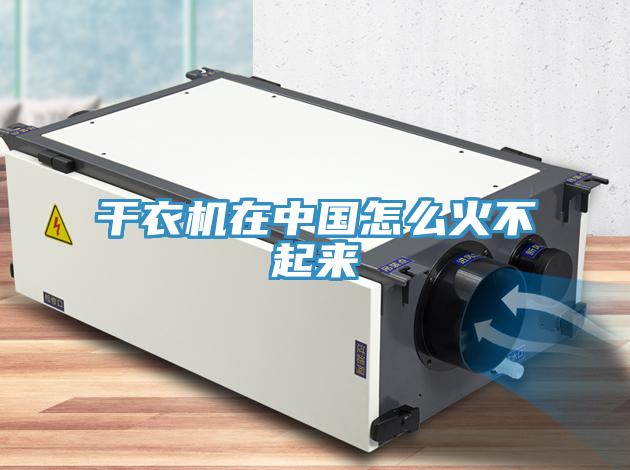 干衣機(jī)在中國(guó)怎么火不起來