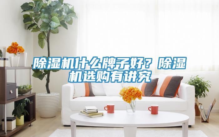 除濕機(jī)什么牌子好？除濕機(jī)選購(gòu)有講究