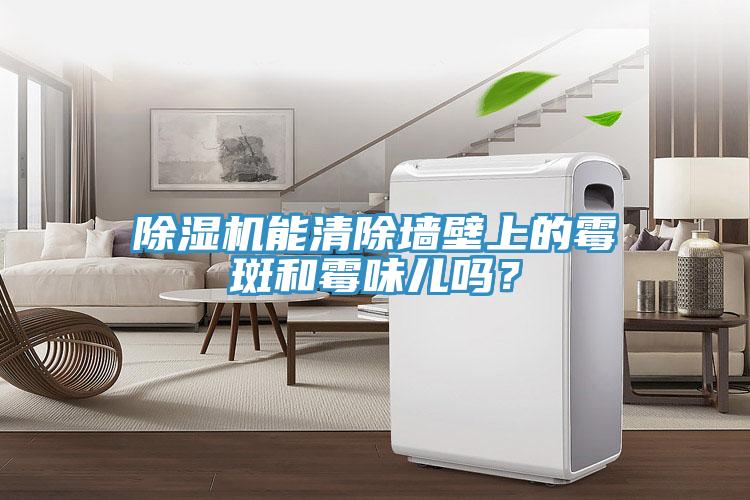 除濕機能清除墻壁上的霉斑和霉味兒嗎？