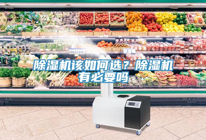 除濕機該如何選？除濕機有必要嗎