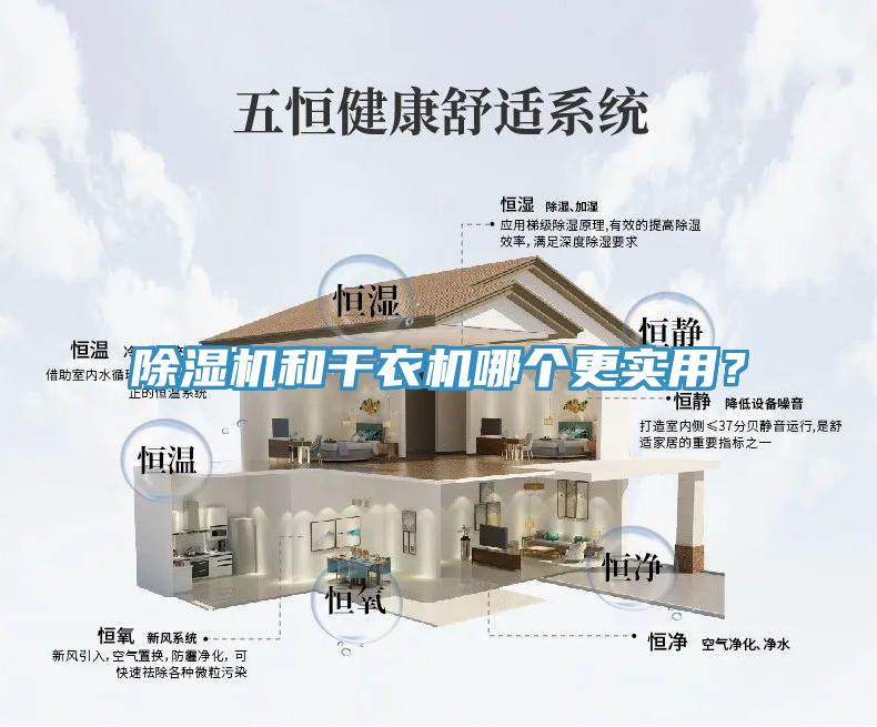 除濕機和干衣機哪個更實用？