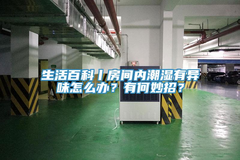 生活百科丨房間內潮濕有異味怎么辦？有何妙招？