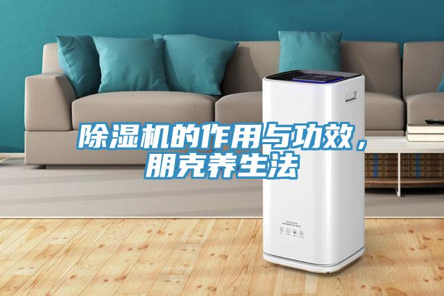 除濕機的作用與功效，朋克養生法