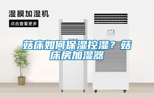 菇床如何保濕控濕？菇床房加濕器