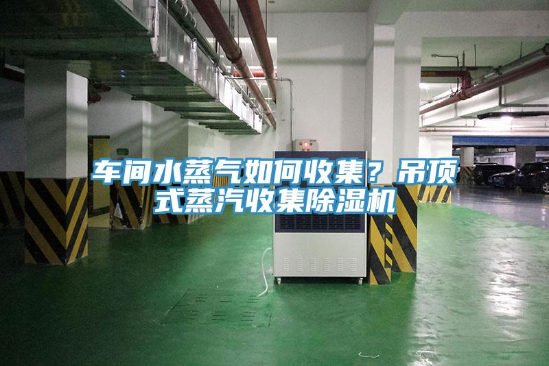 車間水蒸氣如何收集？吊頂式蒸汽收集除濕機