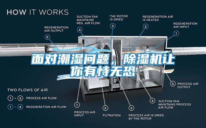 面對潮濕問題，除濕機讓你有恃無恐