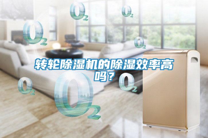 轉輪除濕機的除濕效率高嗎？