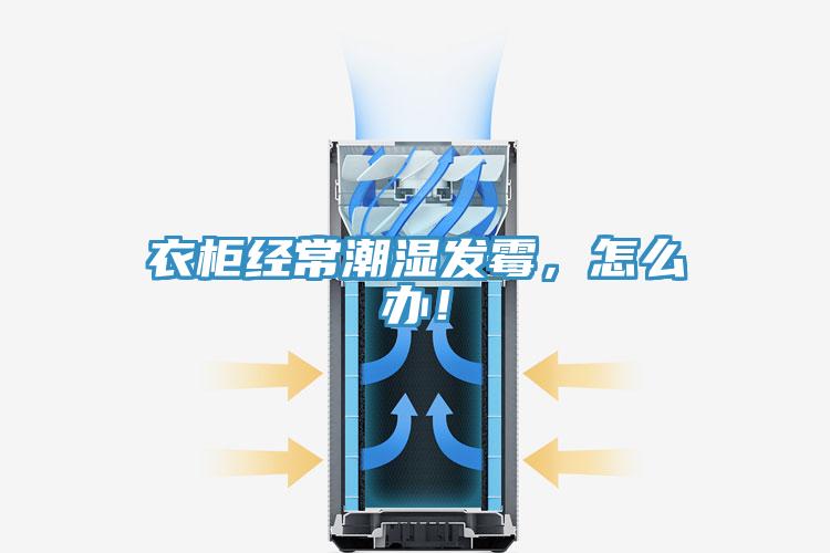 衣柜經常潮濕發霉，怎么辦！